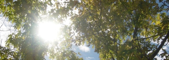 Our Green Future