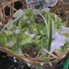 3 things you can do today on food waste