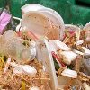 It is time for Singapore to reduce plastic disposables