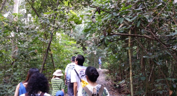 Guided nature walk